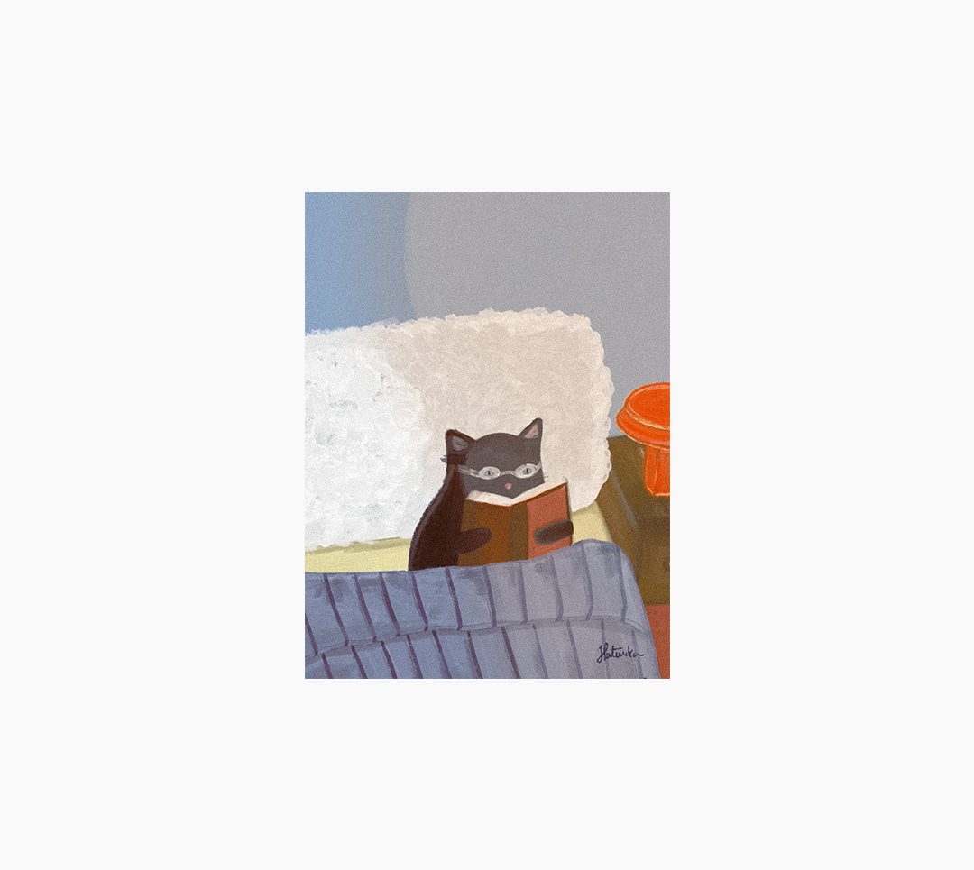 Gato Leitor